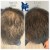 Topical Hair Treatment 3 thumbnail